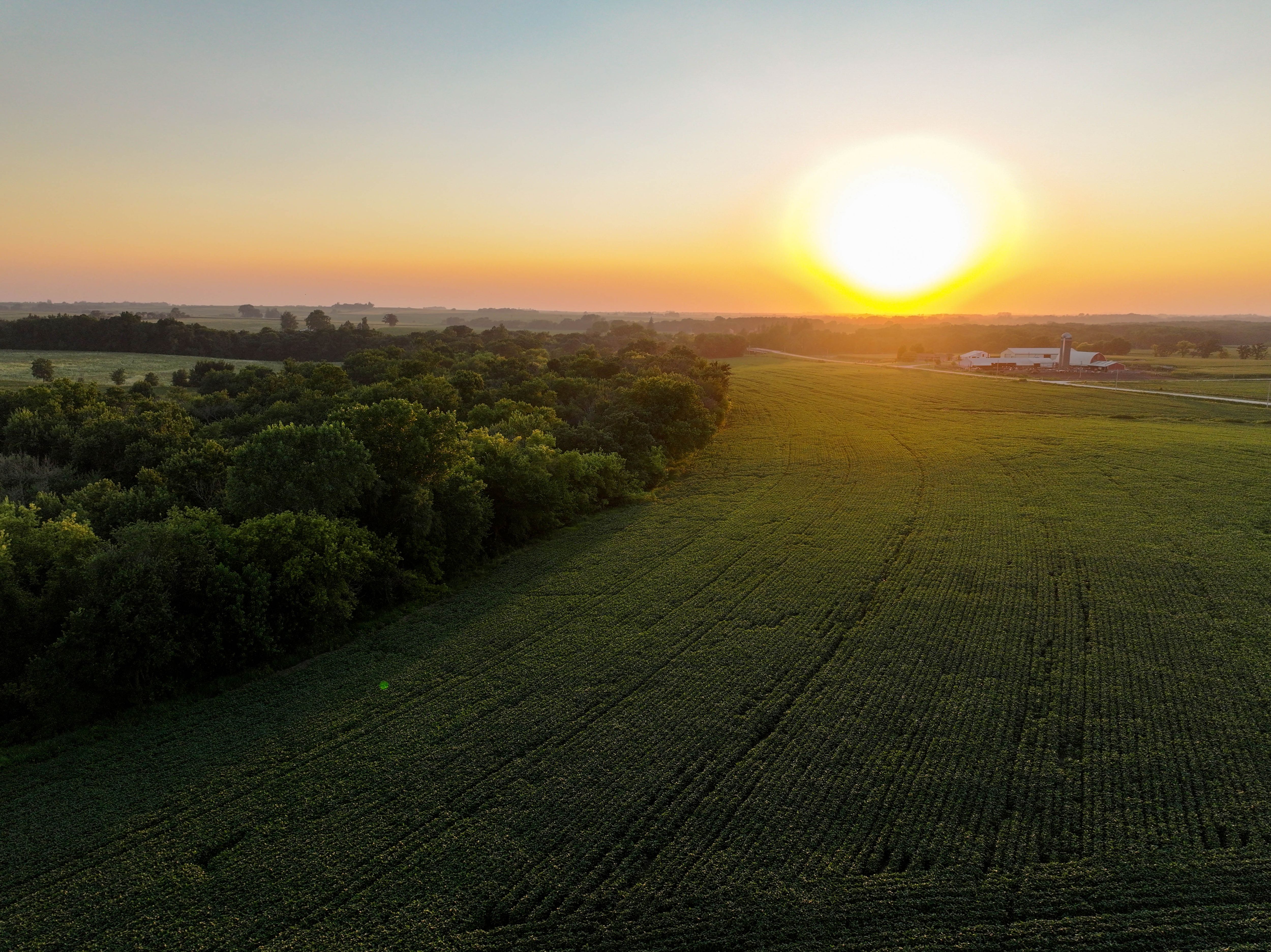 Listing Photo: 20_Waucoma Iowa Land For Sale
